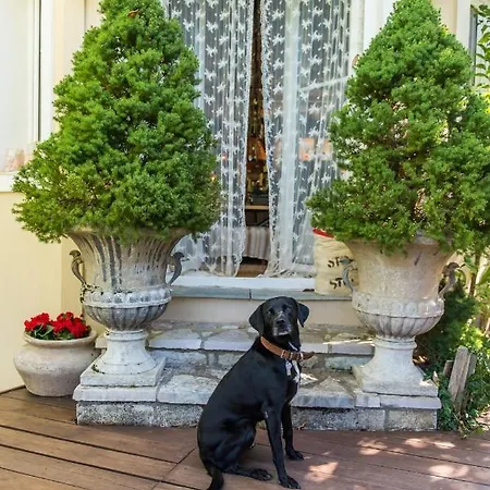 Anerada inn Suites&Spa - Pet Friendly Gasthof 4*