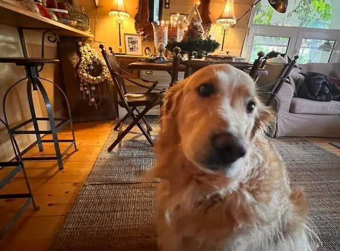 Anerada & - Pet Friendly 4* Mega Chorio