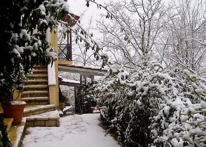 Πανσιόν Anerada & - Pet Friendly