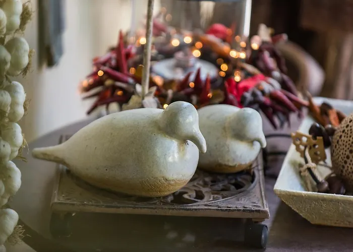 Πανσιόν Anerada & - Pet Friendly