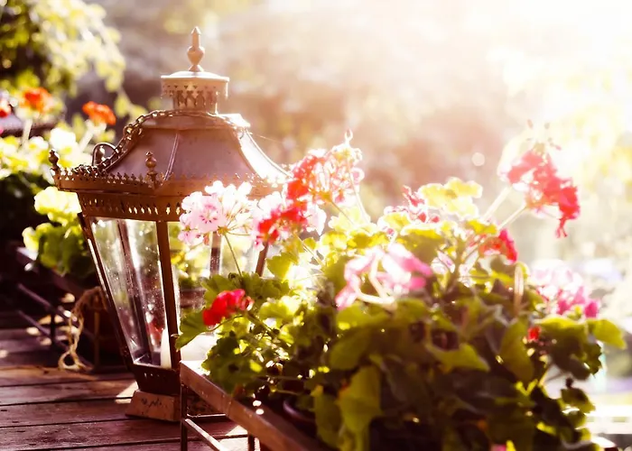 Anerada & - Pet Friendly 4* Mega Chorio