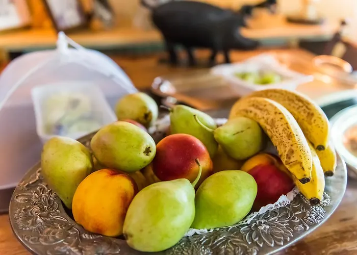 Anerada & - Pet Friendly Πανσιόν Mega Chorio